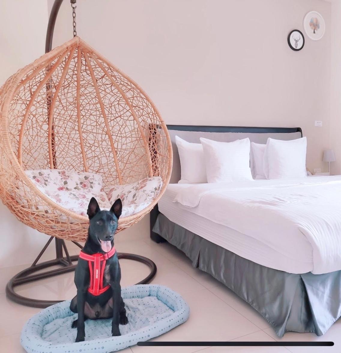 Happy Fat B&B 寵物友善 Taitung Экстерьер фото